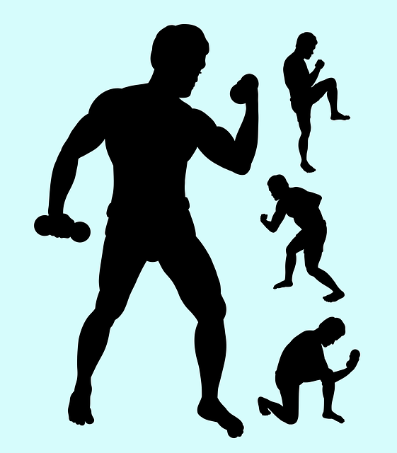 곡예사, 해부, 예술적, 삽화, 몸, 몸이 건축, 선수권 대회