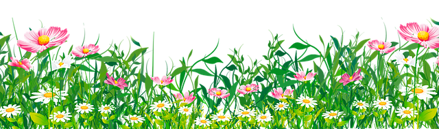 Vir g Ord t Ingyenes K p A Pixabay en Vir g Ord t Ingyenes K p A Pixabay en