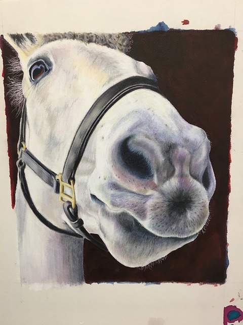 Free horse animal pet illustration