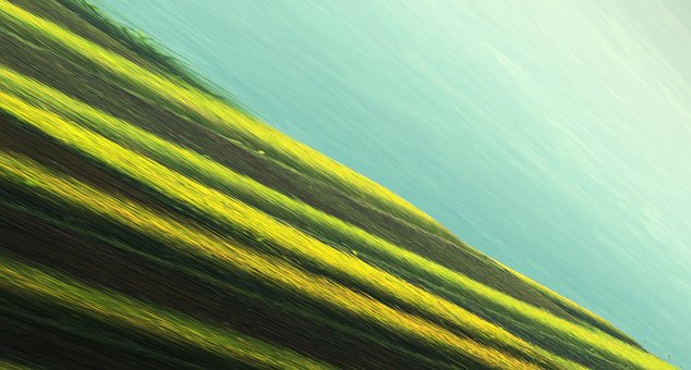 Free Abstract Pattern photo and picture