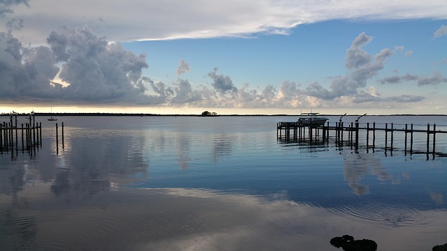 Free Dunedin Harbor photo and picture