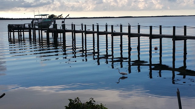 Free Dunedin Pier photo and picture