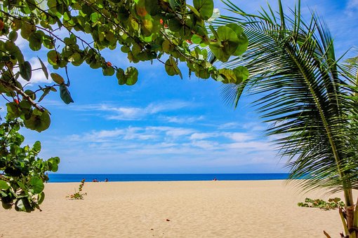 Strand, Karibik, Beach, Meer, Antigua