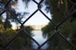 nature, fence, exterior