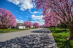 neighborhood, subdivision, street