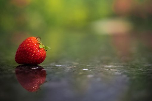 Free Strawberry Fruit photo and picture