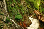 clammy, waterfall, water