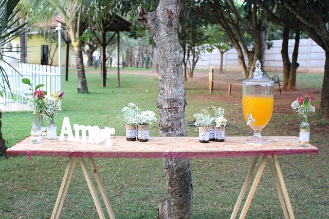 ceremony, garden, marriage, table, nature, juice, daniel deusdete, sowers, never give up
