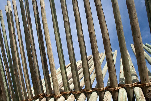 Free Close Up Of Pole Structure Sculpture photo and picture
