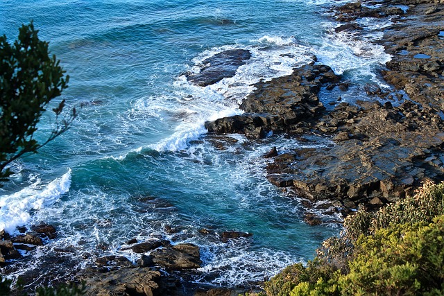 Free Ocean Sea photo and picture