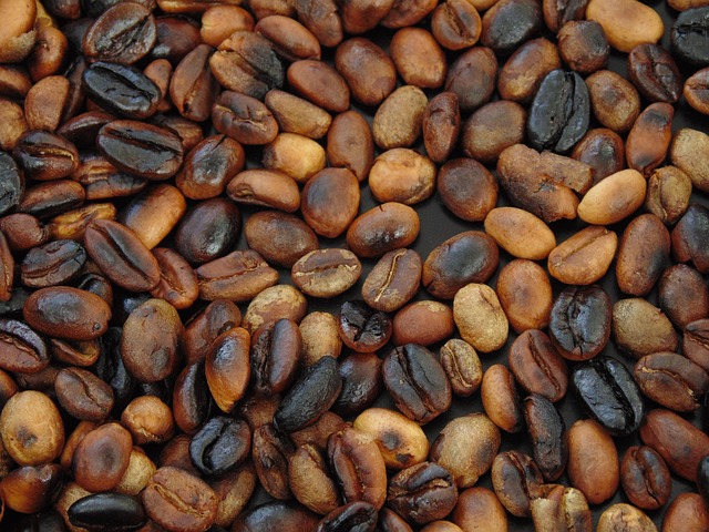 Free Coffee Beans photo and picture