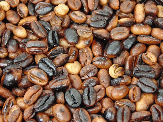 Free Coffee Beans photo and picture