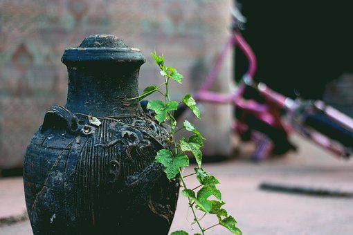 Vase, Blätter, Alt, Grün, Jahrgang