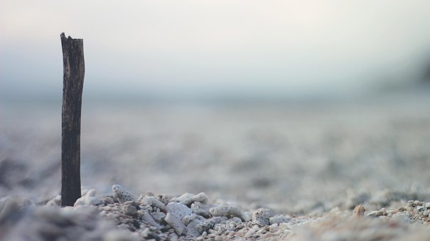 Stock, Strand, Sand, Reisen, Meer