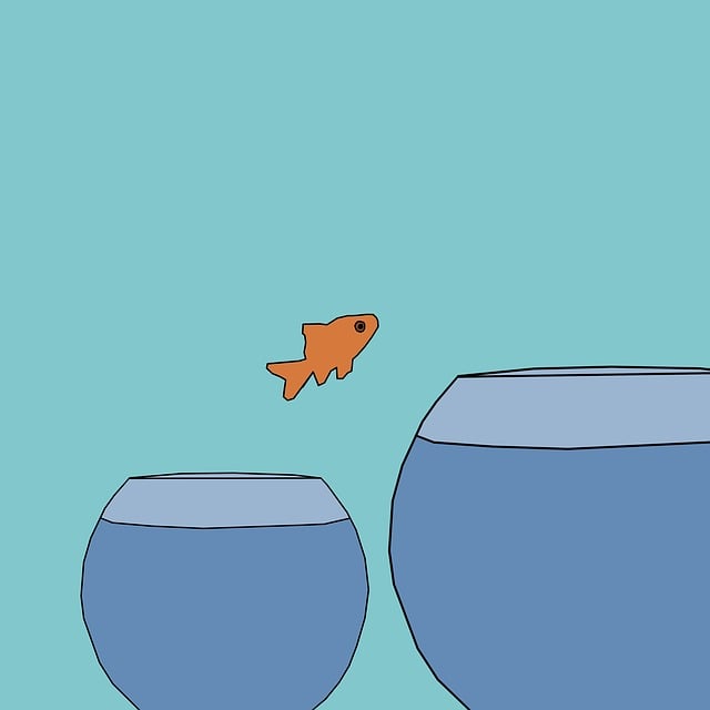 Free keywords change fish illustration