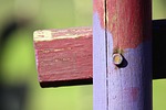 wood, pile, screw