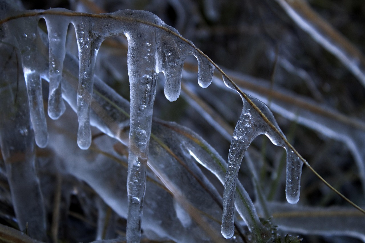 Más de 40 000 imágenes gratis de Frio y Naturaleza - Pixabay