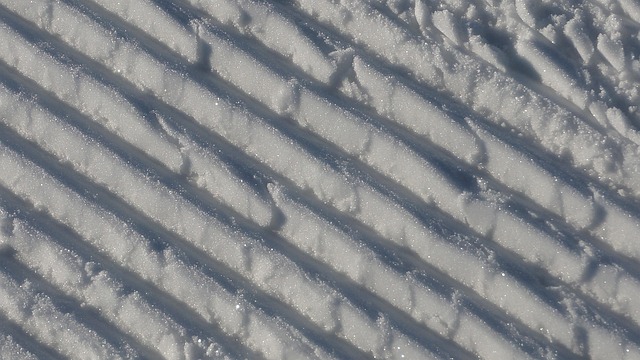 Free Snow Winter photo and picture