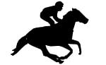 horse, racing, risk