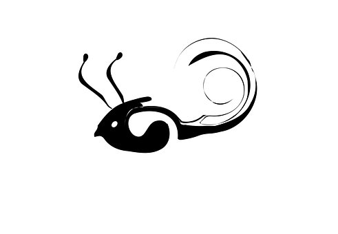 Free Snail Logo illustration and picture