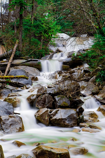Free Water Waterfall photo and picture