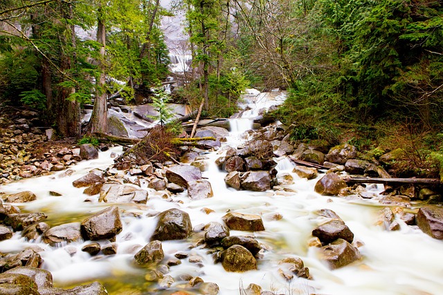 Free Water Waterfall photo and picture