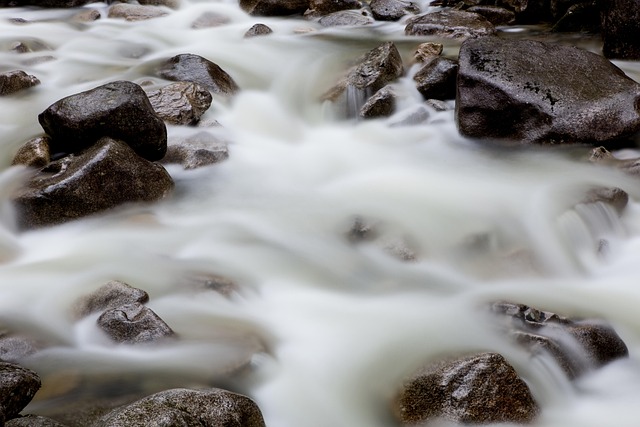 Free Water River photo and picture
