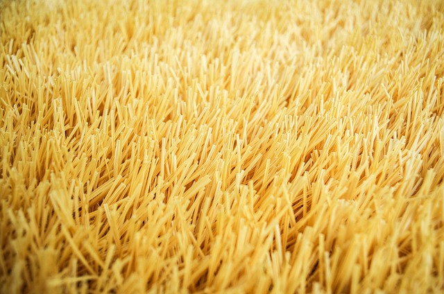Free Yellow Cool Backgrounds photo and picture