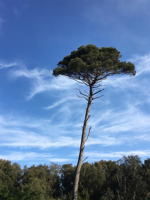 South, Frankrijk, Zuid Frankrijk
