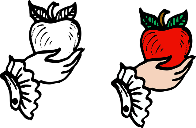 Free hand apple handdrawn vector