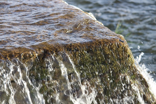 Free Water Natural photo and picture