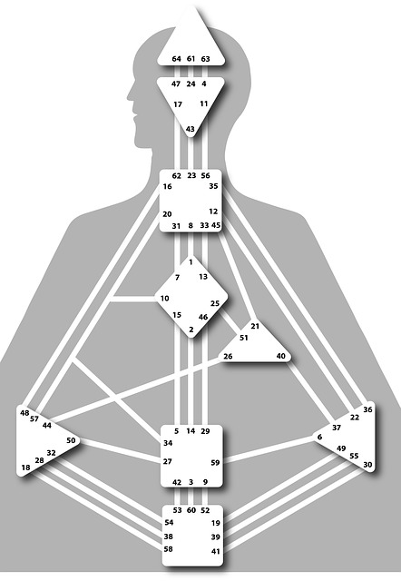 10+ Free Body Chart &amp; Results Images - Pixabay