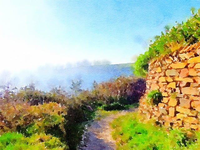 Free watercolour watercolor painting illustration