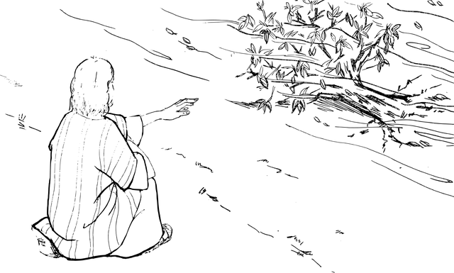 Free bible ccx storying vector