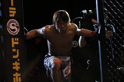 mma-2495817__340.jpg