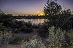 riparian, arizona, glibert