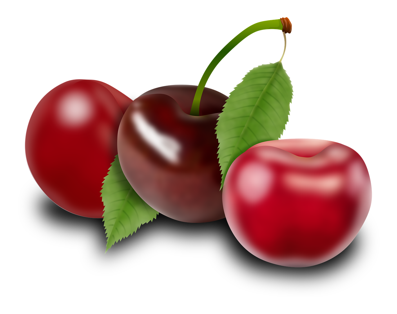 Cherries Fruits Plants Red · Free photo on Pixabay