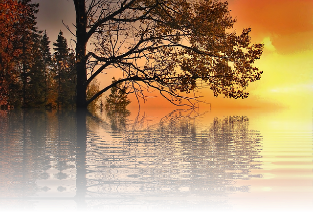 Free sunset vacations sun illustration