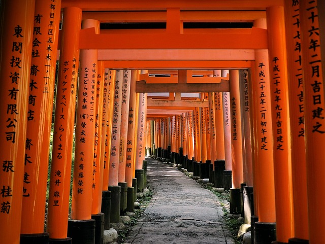 Free Japan Kyoto photo and picture