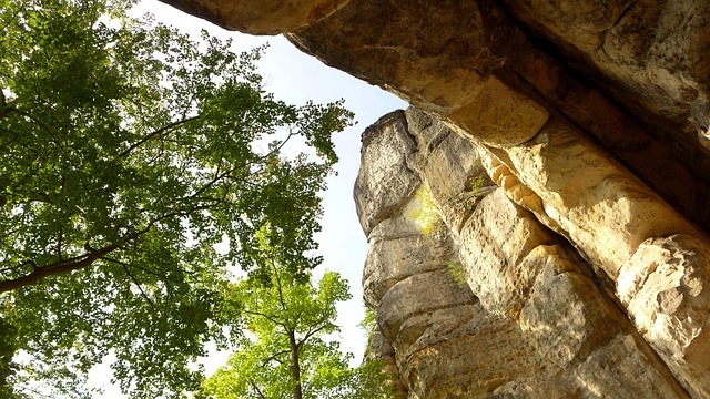 Free Cowshed Elbe Sandstone Mountains photo and picture