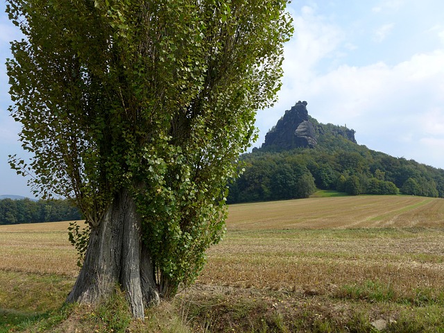 Free Saxon Switzerland photo and picture