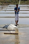 salt, technique, food craft