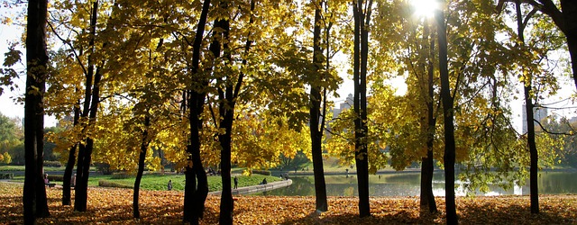 Free Landscape Nature photo and picture