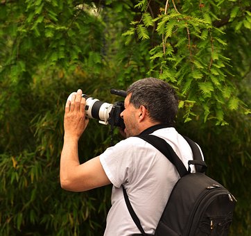 Mand, Fotograf, Tager Billeder, Person