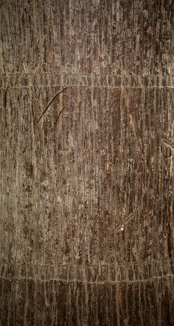 Free Abstract Aging photo and picture