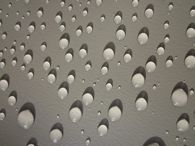 Free Drops Water photo and picture