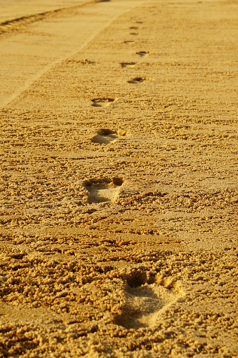 footprints in the sand