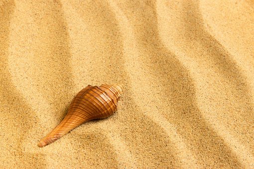 Free Journey Sand photo and picture