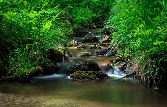 Strøm, Torrent, Natur, Slovakiet, Vand