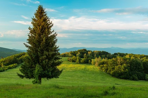 Natur, Land, Bjerge, Slovakiet, Himlen